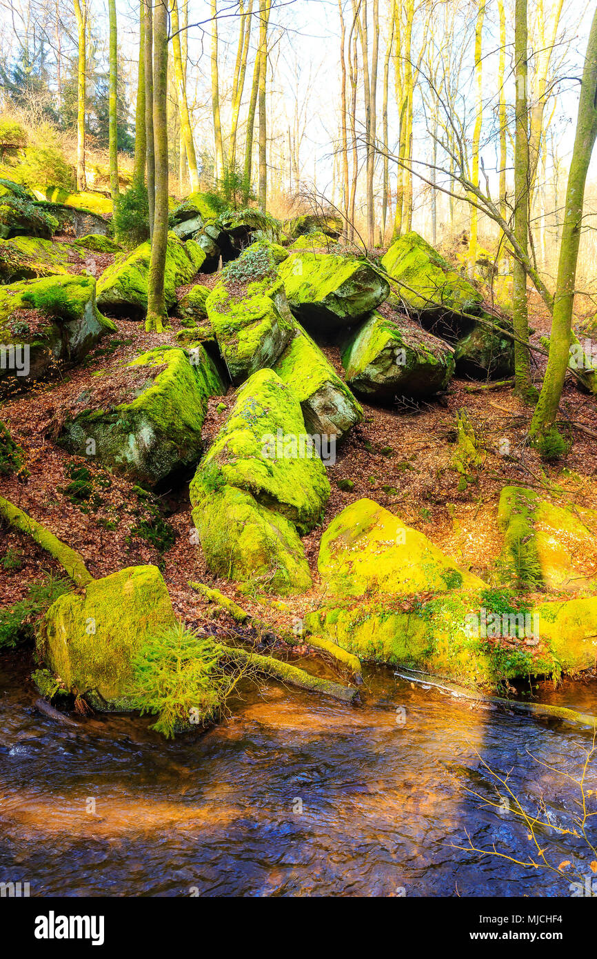 Große Steine auf dem Boden im Karlstal Tal in der Nähe von Trippstadt Stockfoto