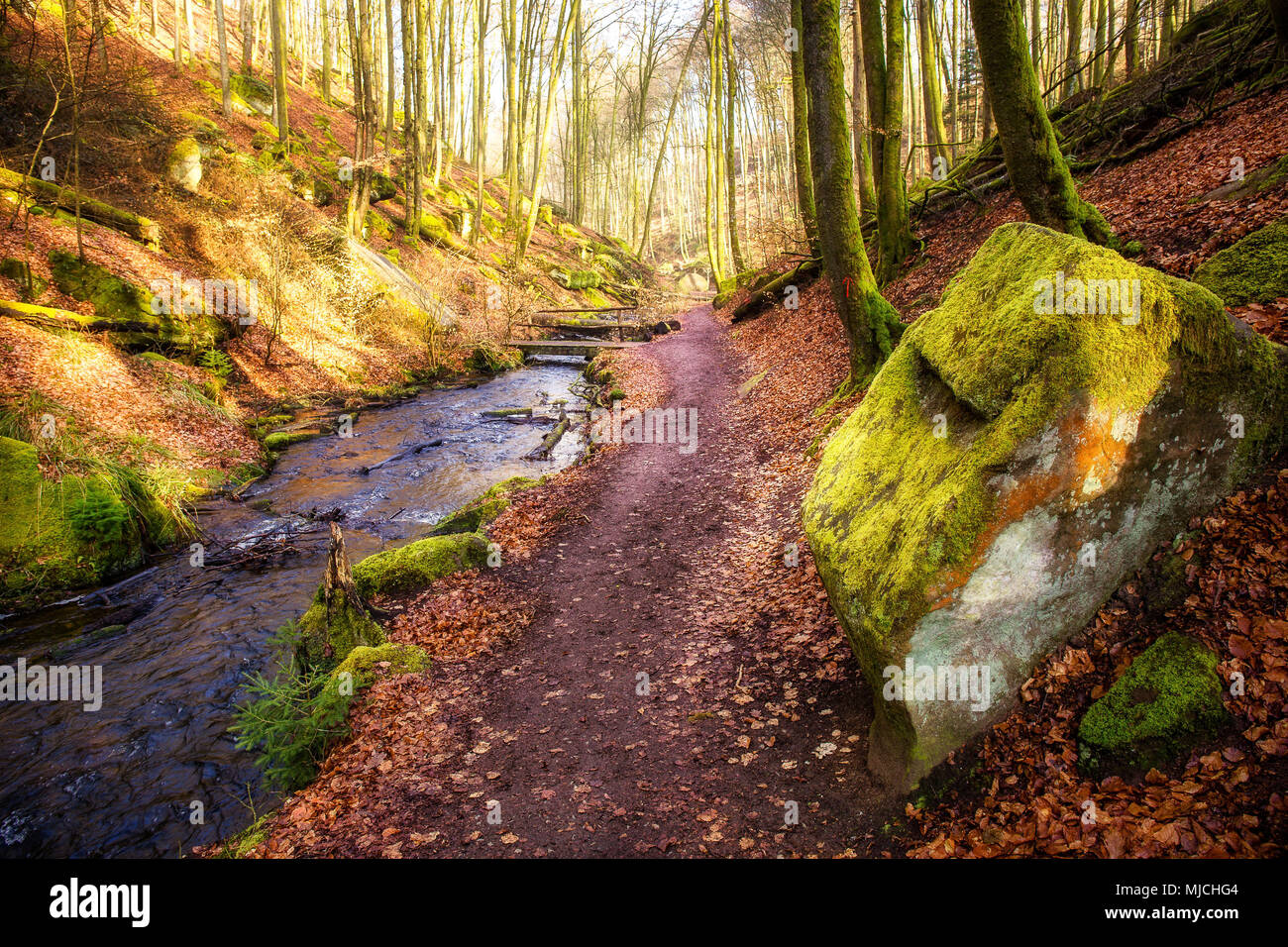 Winter Morgen im Karlstal Tal in der Nähe von Trippstadt Stockfoto