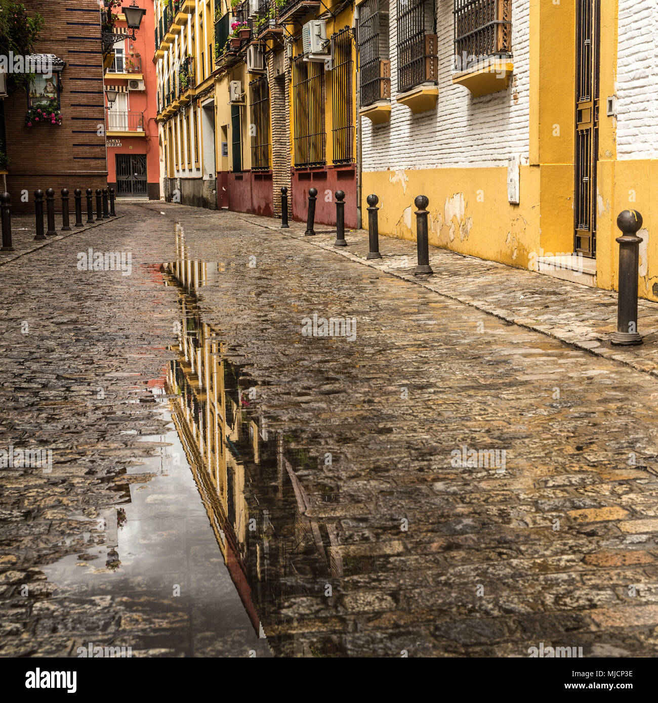 Europa, Spanien, Andalusien, Sevilla, Altstadt, Straße, Pfütze, Reflexion Stockfoto