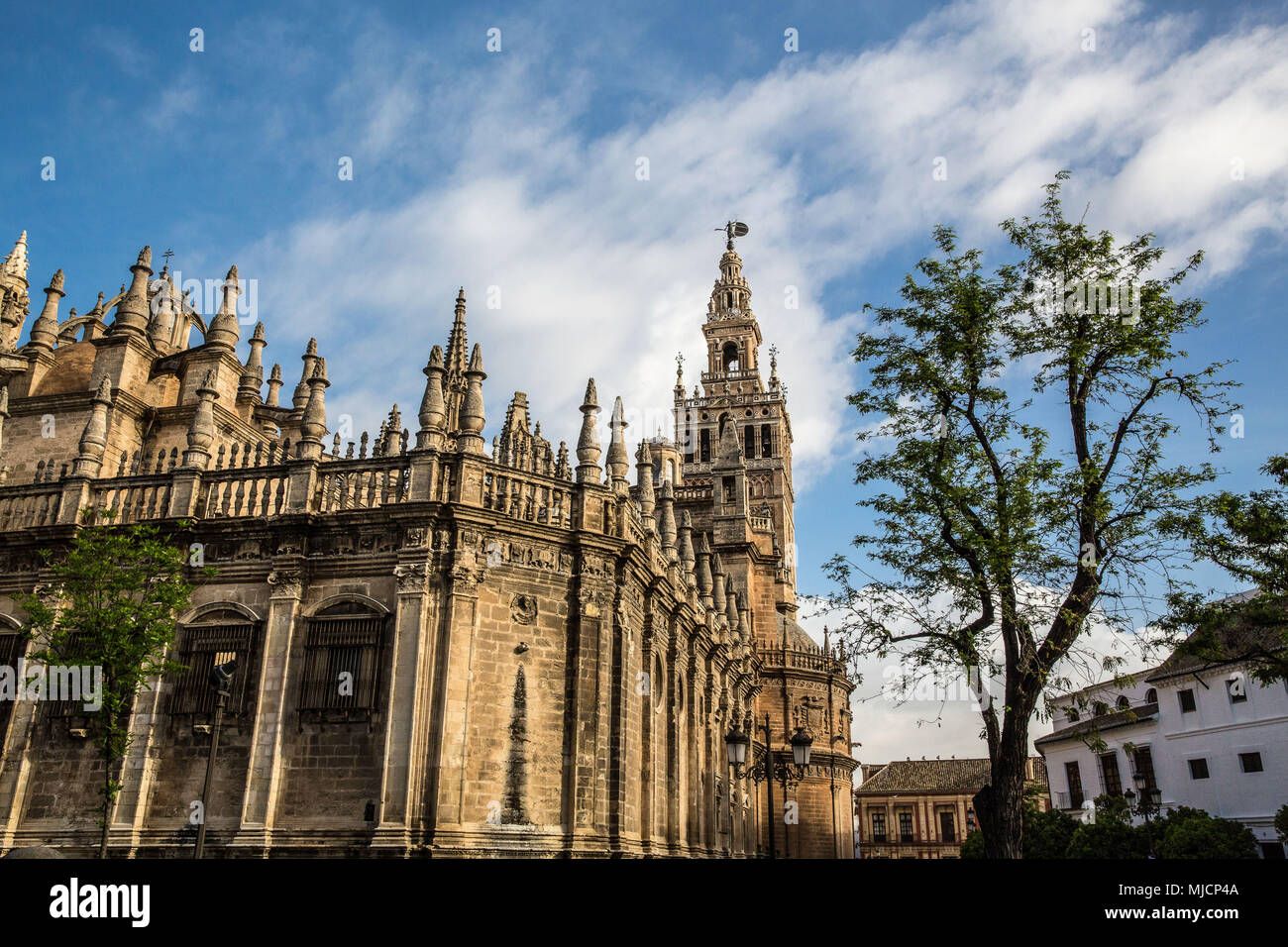 Europa, Spanien, Andalusien, Sevilla, Kathedrale, Stockfoto