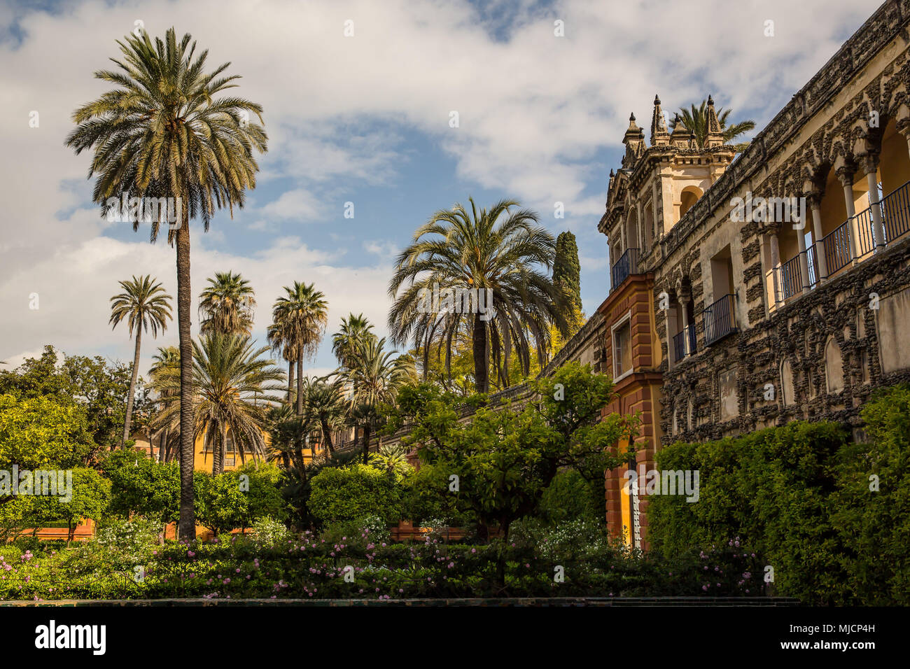 Europa, Spanien, Andalusien, Sevilla, Real Alcazar, Garten, Royal Garden, Palmen, Garten Architektur, Stockfoto