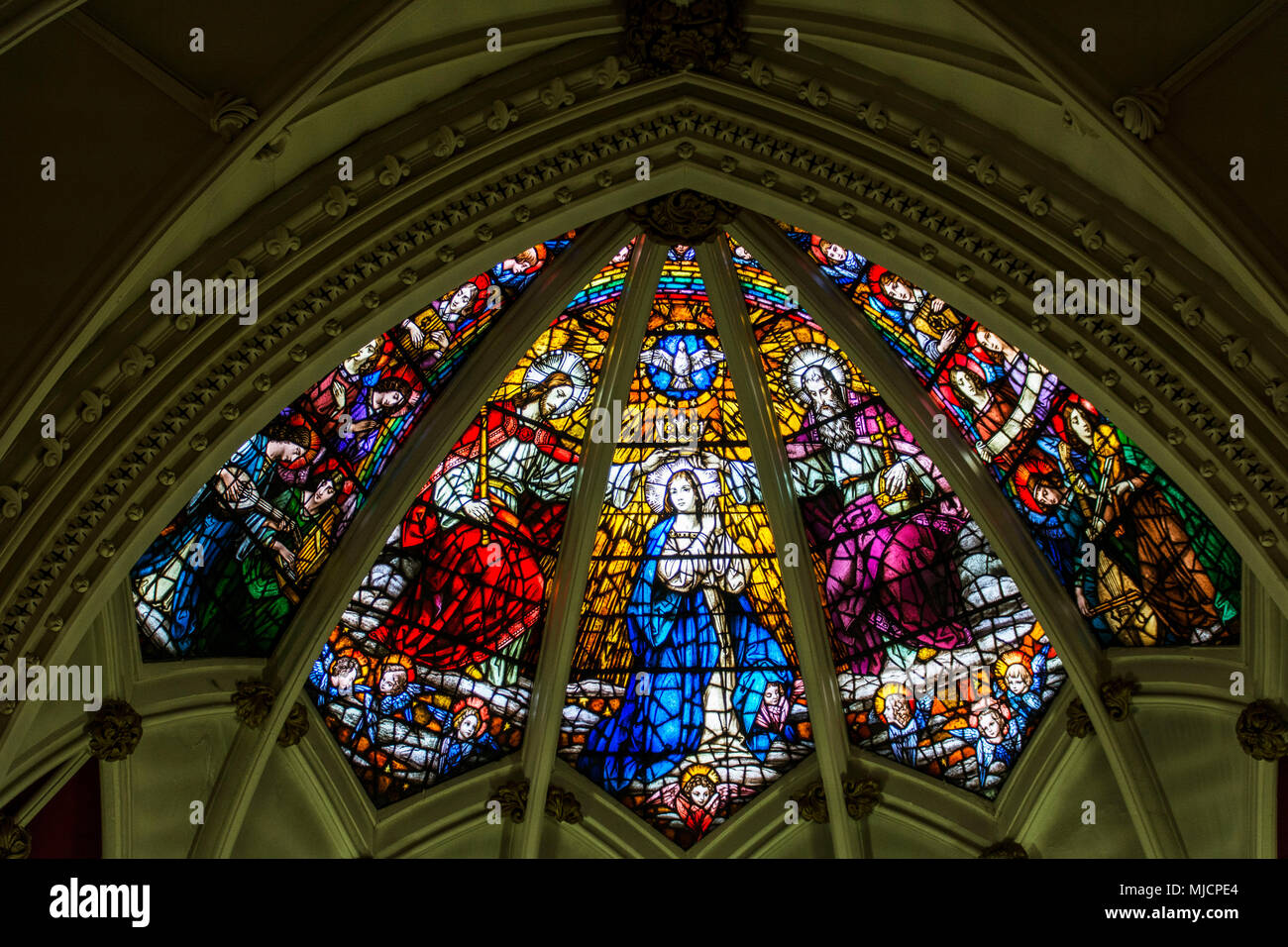 Fenster der Kirche Saint Mary's Basilica, Halifax, Kanada Stockfoto