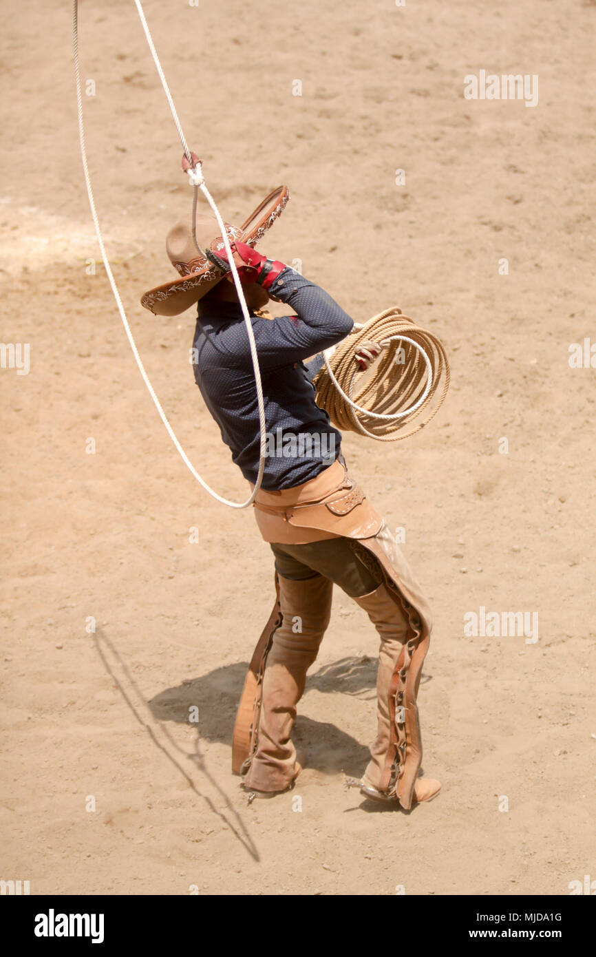 Mexikanischen charro durchführen mit einem Lasso, charreria, charreadas Stockfoto