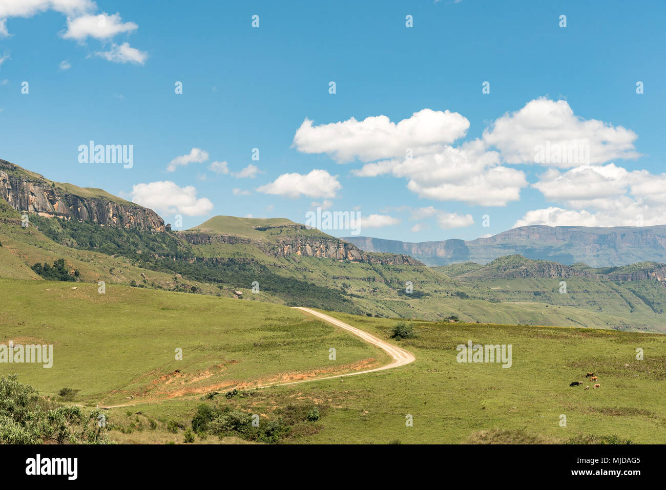 Der Weg zur Injisuthi im Abschnitt Giants Castle der Maloti Drakensberg Park in der Kwazulu-Natal Drakensberg Stockfoto