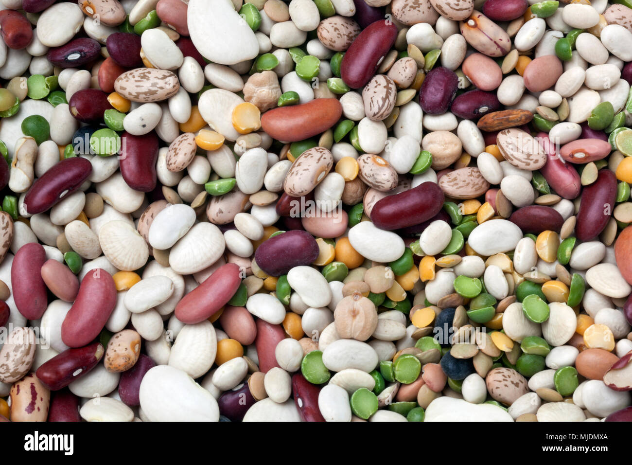 Immer noch leben der sortierten trockene Bohnen: Nord, Pinto, grüne Erbsen, Niere, Cranberry Bean, Kleine Weiße, kleine rote, gelbe Erbsen, Linsen, Marine, Wh Stockfoto