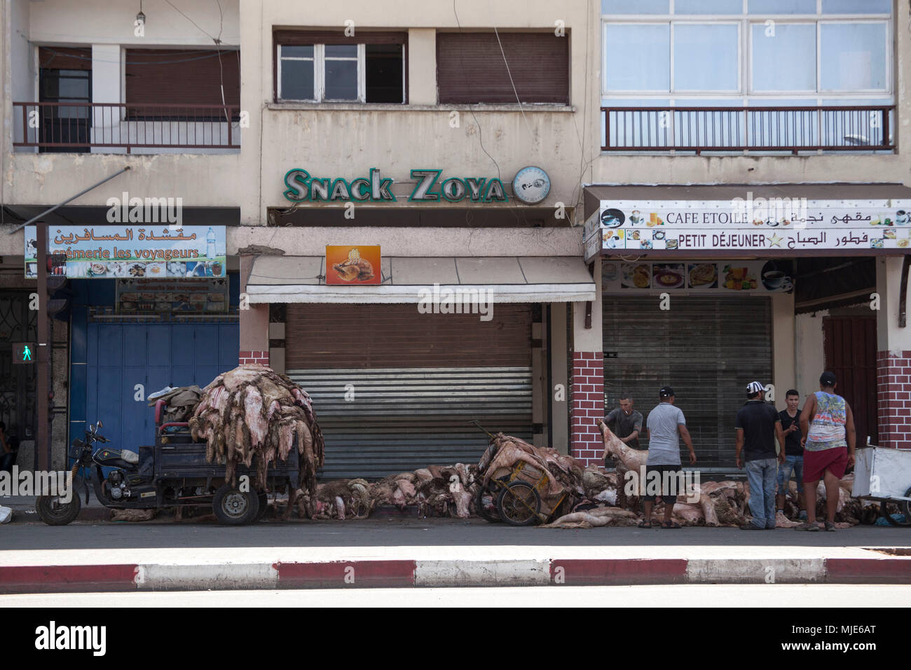 Marokko, Fes, Straße Handel, Tier Muscheln, Männer, Stockfoto