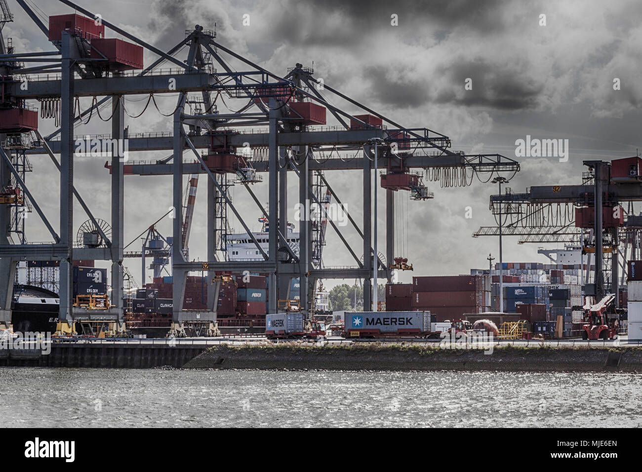 Docks im Hafen von Rotterdam Stockfoto