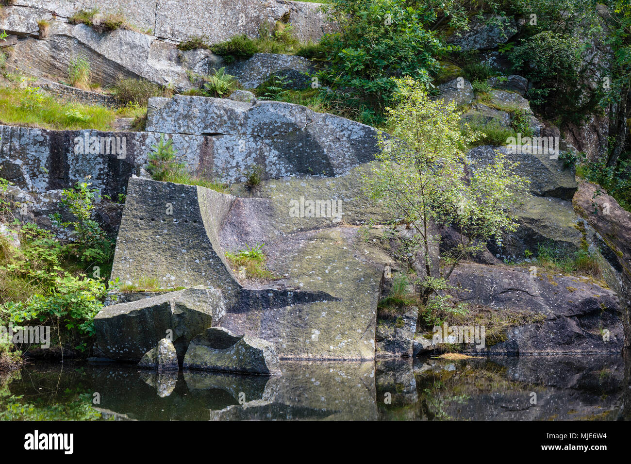 Alter steinbruch zwischen und Teglkås Vang, Europa, Dänemark, Bornholm, Stockfoto