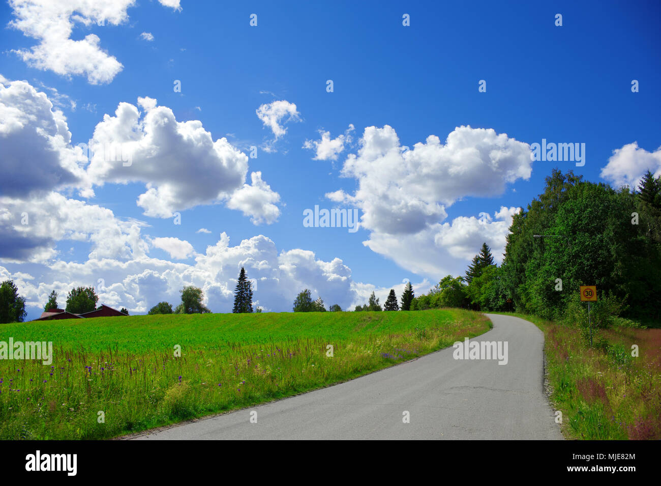 Straße durch eine wunderschöne Landschaft in Finnland Stockfoto