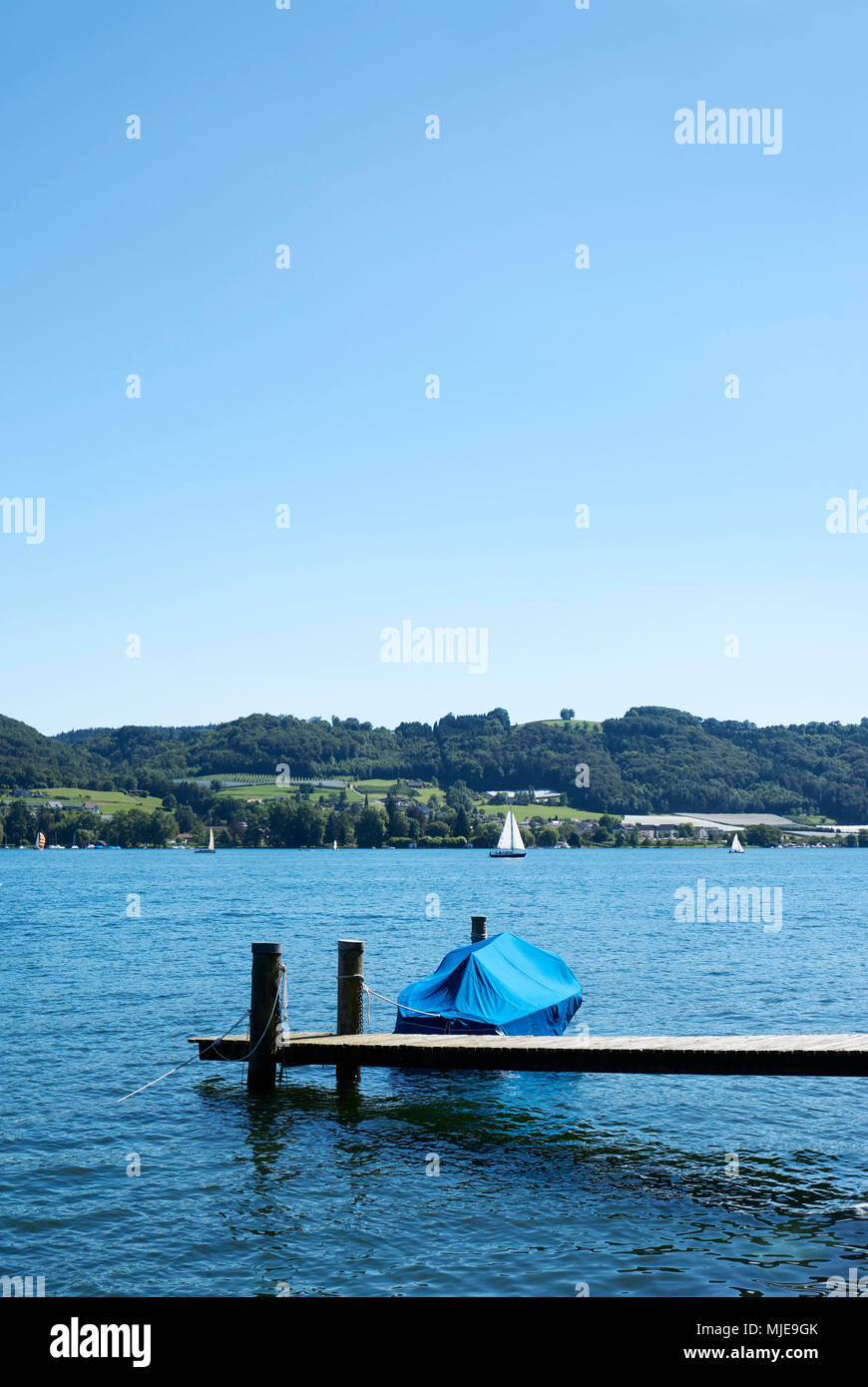 Boot gesichert auf einem Steg, Aussicht auf das Ufer, See im Sommer Stockfoto