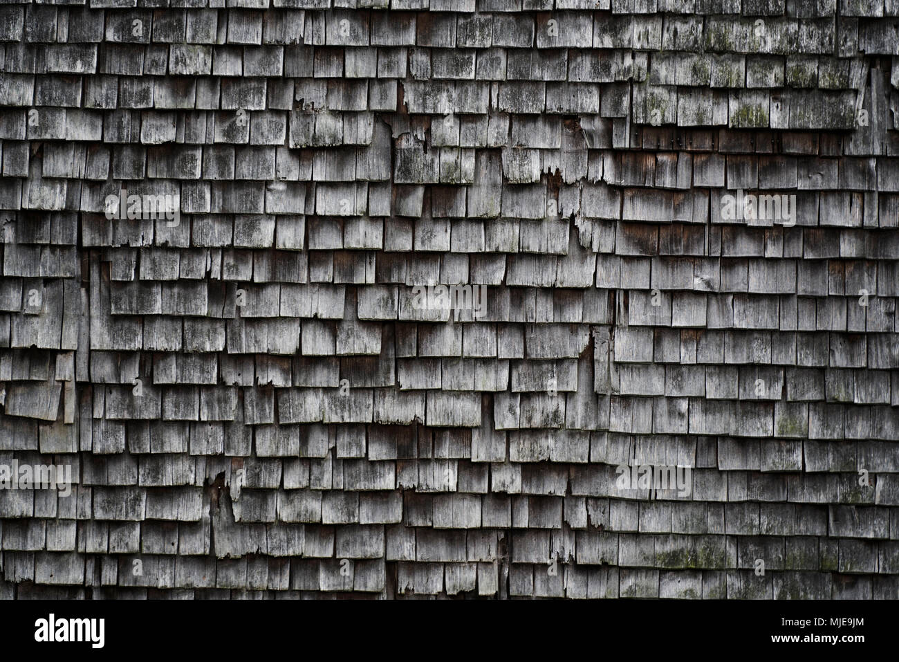 Alten Schindeln, graue und verwitterte auf ein Holzhaus im Schwarzwald, Detail Stockfoto