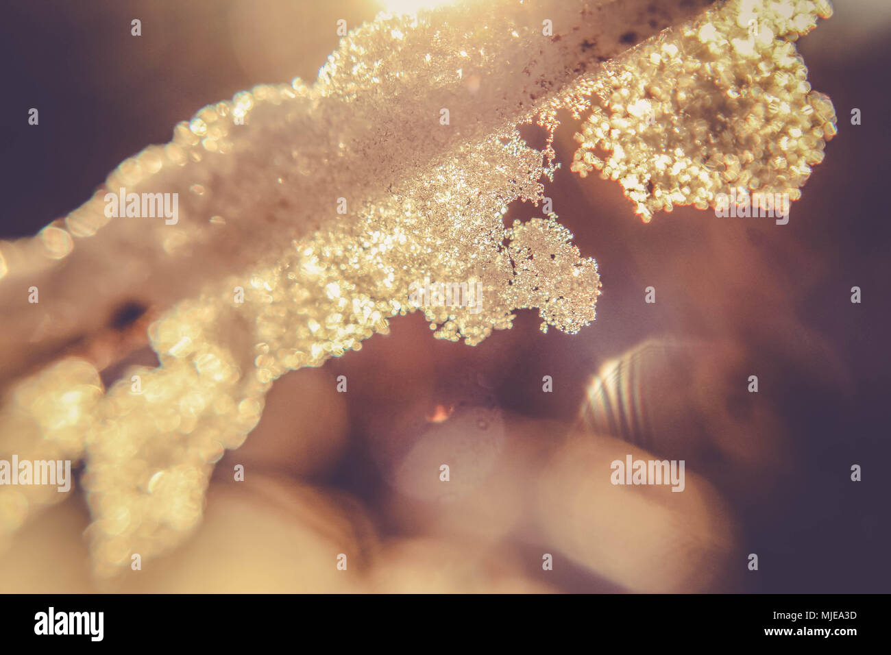 Eiskristalle, close-up Stockfoto