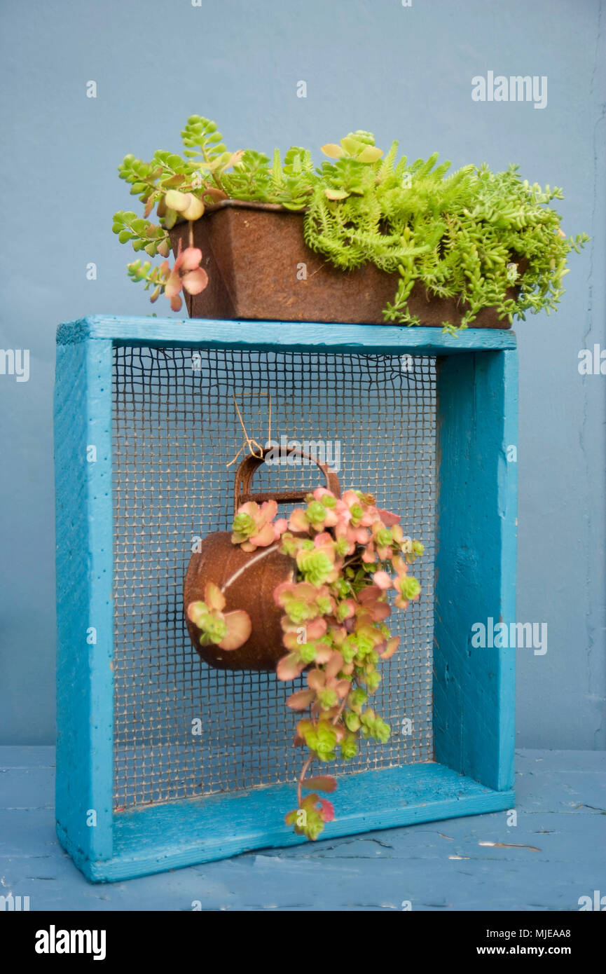 Hanging Garden Stockfoto