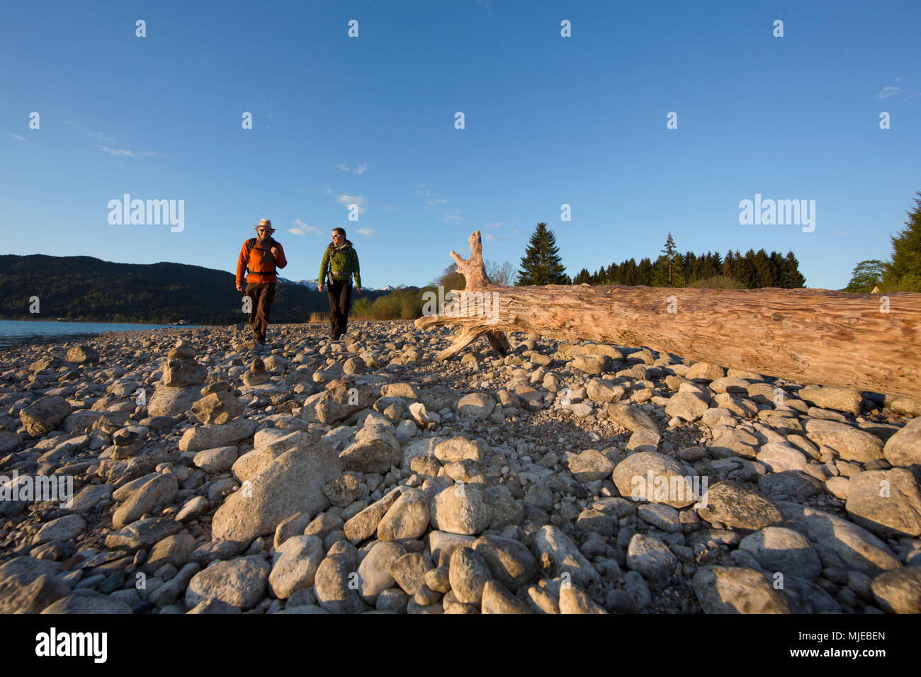 Auf der Halbinsel Zwergern am Walchensee (See Walchen), Bayerischen Alpen, Bayern, Deutschland Wanderer Stockfoto