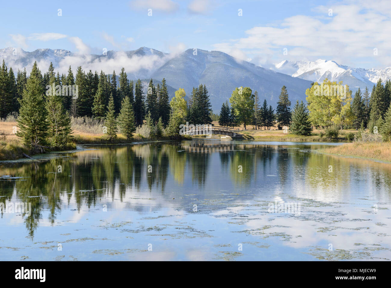 Banff National Park, Brücke, See, Rocky Mountains, Reflexion, Bäume Stockfoto