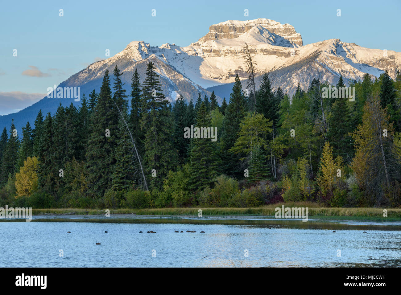 Sunrise, Banff National Park, Alberta, Berge, Sonne, Wald, in den kanadischen Rockies Stockfoto