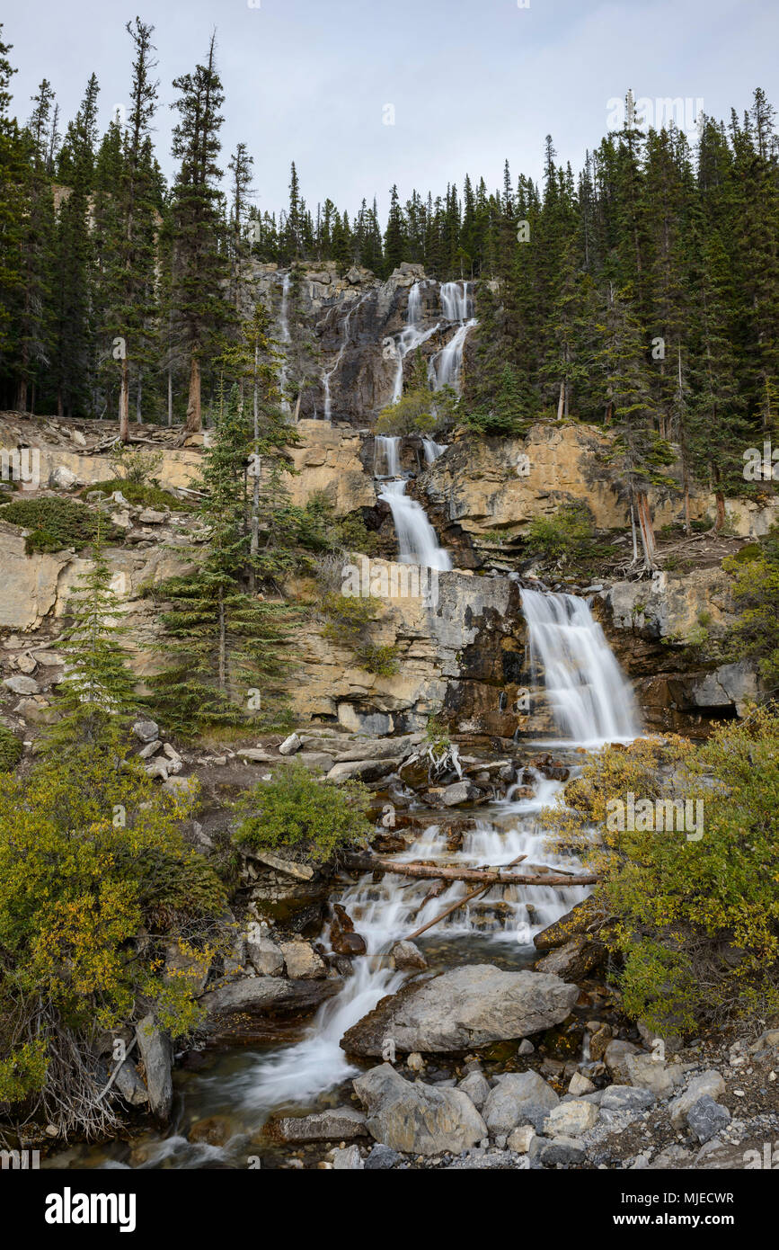Jasper National Park, Tangle Creek Falls, Vertikal, Wasserfall, Cascade, Fluss Stockfoto