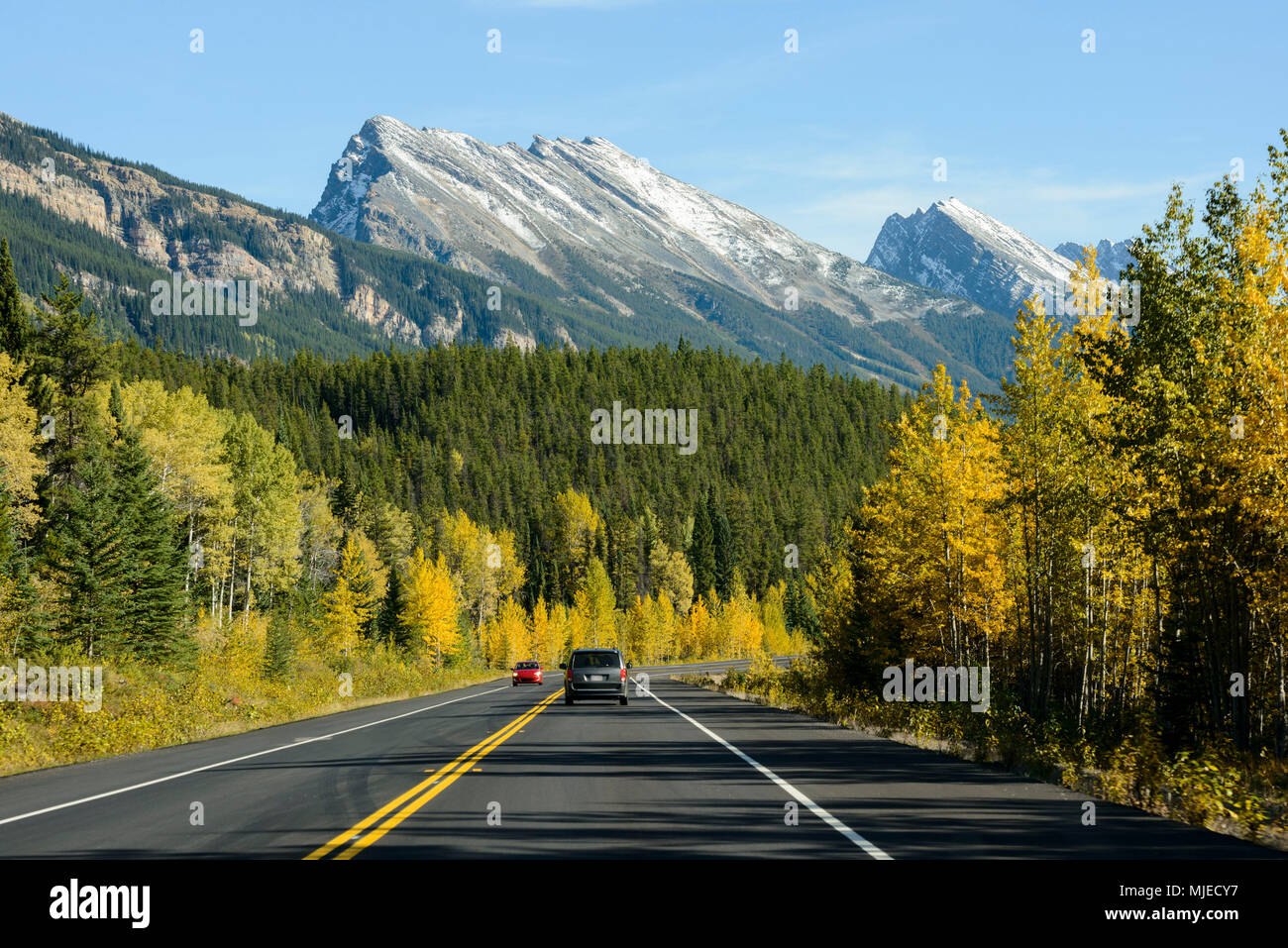 Icefields AB-93 Road, Rocky Mountains, Auto, Abenteuer, Reise, line, Kennzeichnung, Berg, Wald Stockfoto