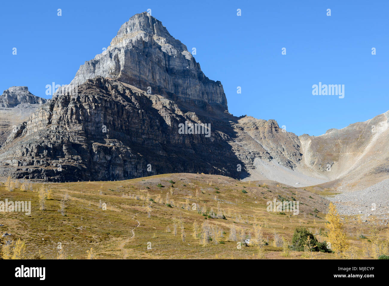Wandern, Wanderung, Banff National Park, Pass, Abenteuer, Alberta, Höhe, Exploration, Berg, Tour, Tourismus, Reise, Peak Stockfoto