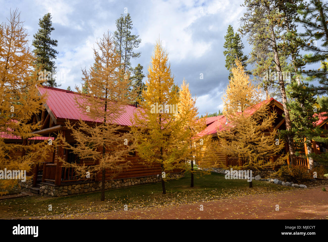 Alberta, Resort, Hotel, bunte, Bäume, Herbst, Herbst Stockfoto