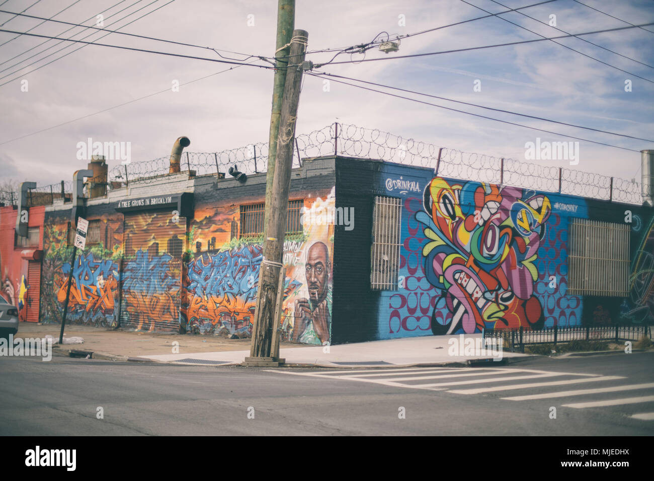 Graffiti Wände auf Bushwick Straßen Stockfoto