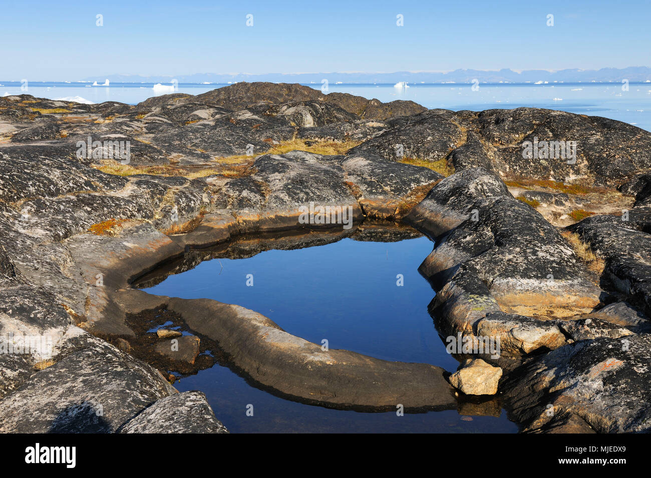 Arktis rock Landschaft mit kleinen Teich im Sommer und Ilulissat Icefjord, Diskobucht, Qaasuitsup, Grönland, Polargebiete, Arktis Stockfoto