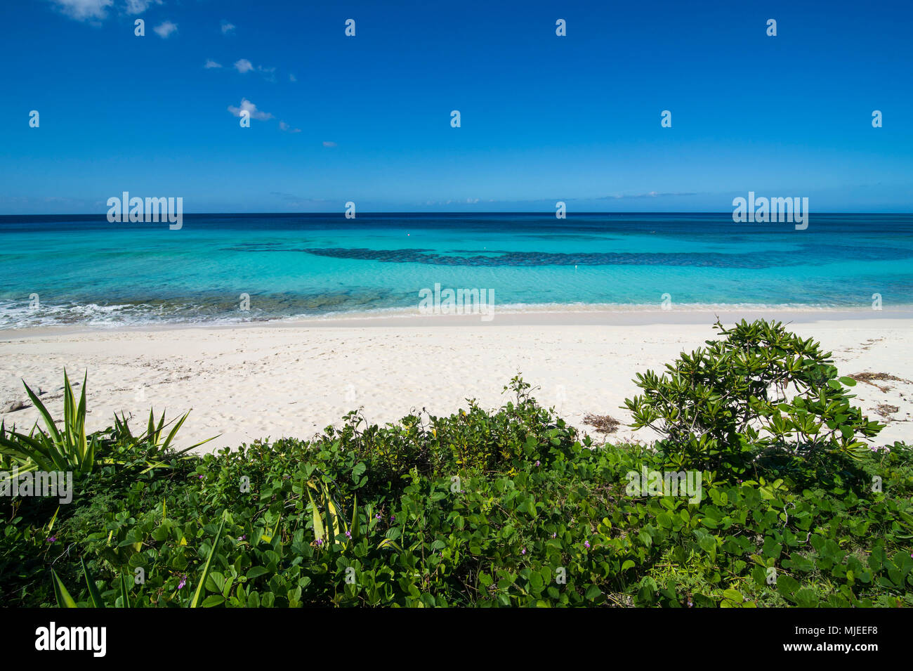 Schönen weißen Sandstrand und das türkisblaue Wasser in Providenciales, Turks- und Caicosinseln Stockfoto