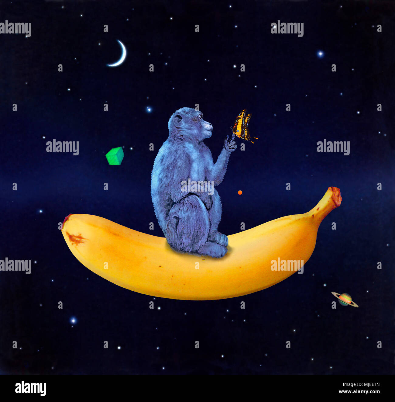 Monkey und Schmetterling auf Banane im Raum schwebend Stockfoto