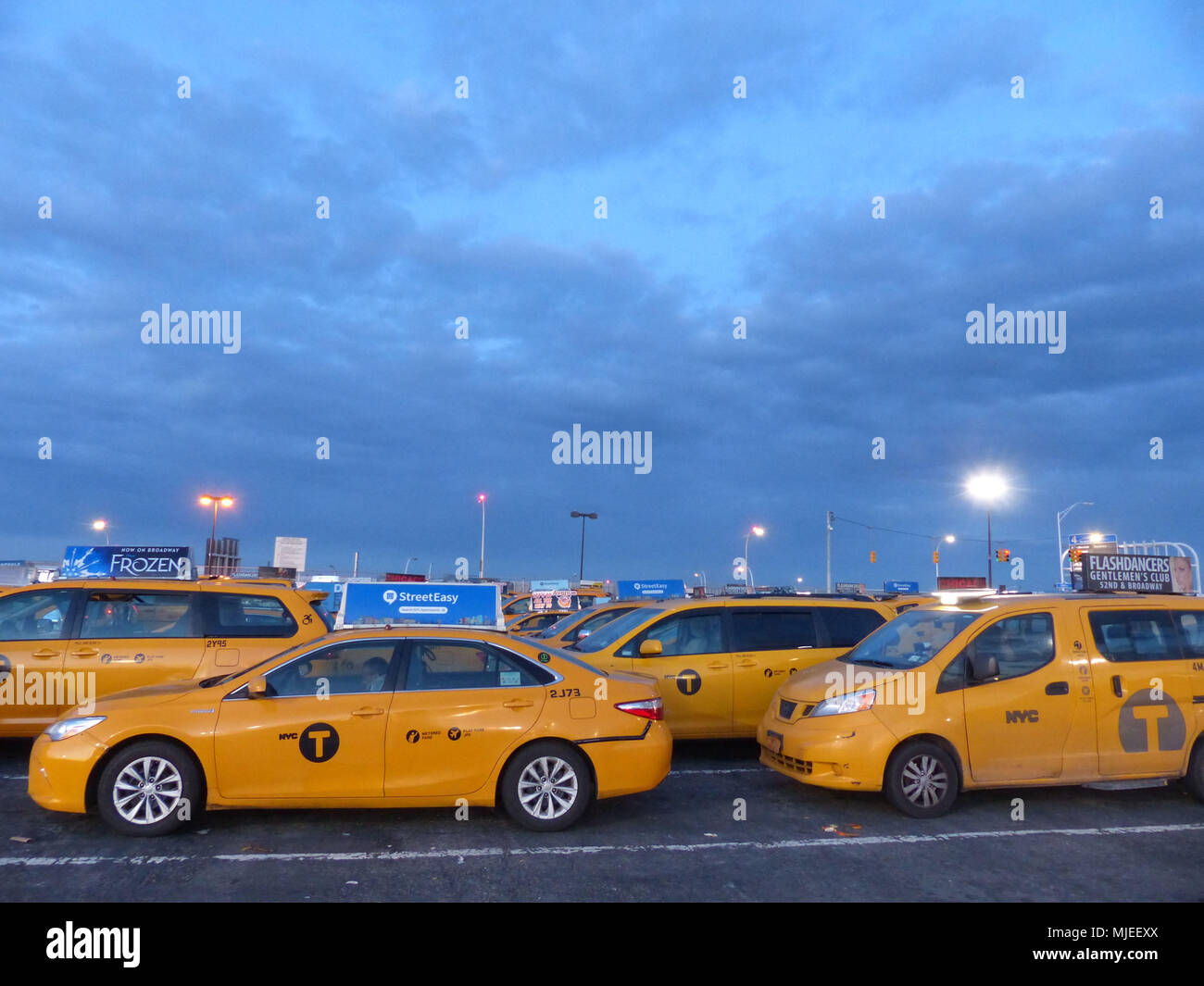 Yellowcabs von NYC Taxi & Limousine Kommission, Warten am Flughafen JFK Zentrale Taxi halten, bis sie an der Reihe sind, Fluggäste zu holen lizenziert Stockfoto