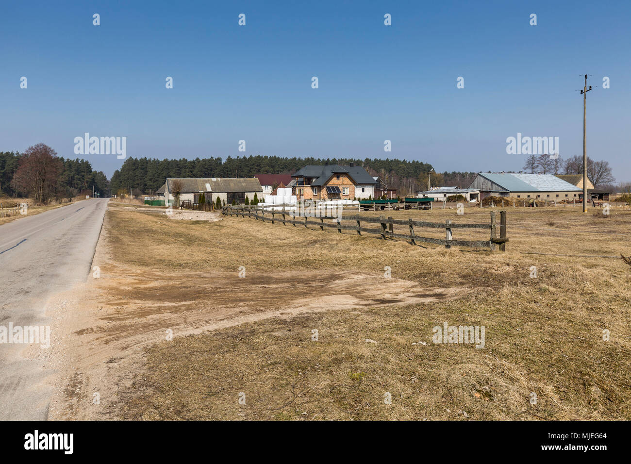 Europa, Polen, Woiwodschaft Podlachien, carska Straße - Dobarz Stockfoto