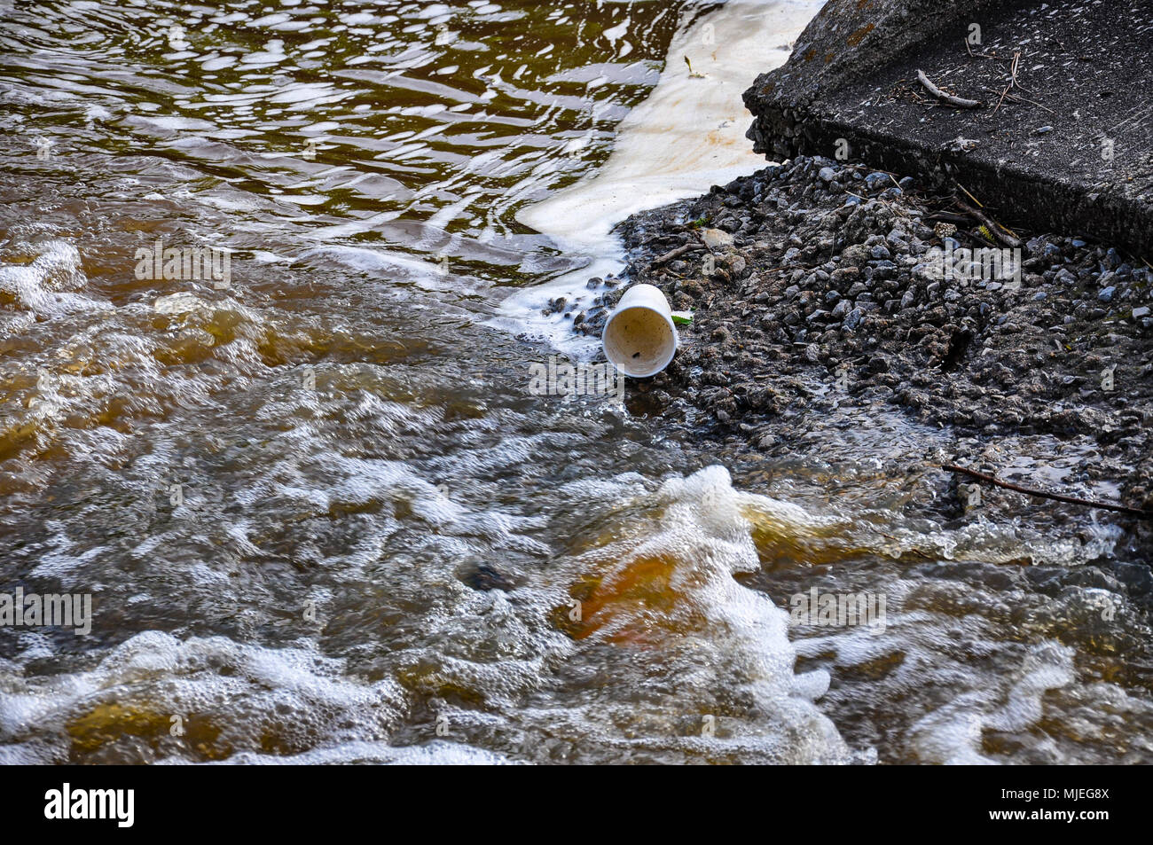 Mein erster Satz Naturaufnahmen. Wie spannend. Stockfoto