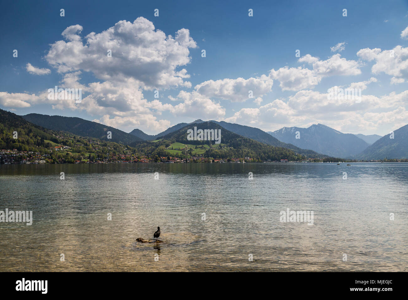 Deutschland, Bayern, Tegernsee, Alpen, Blick von Bad Wiessee Stockfoto