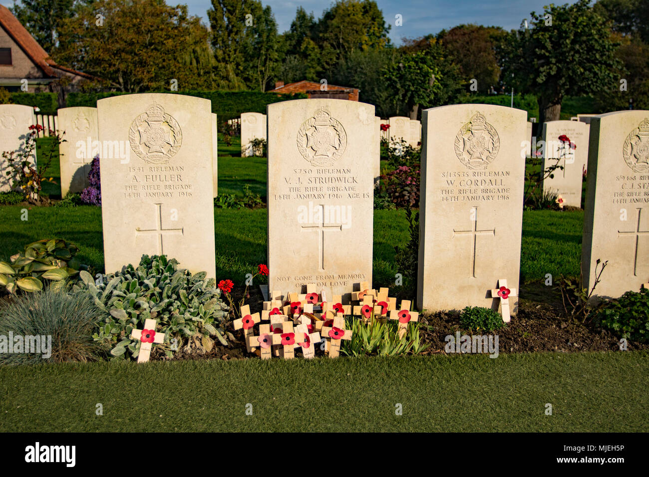 Soldatenfriedhöfe in Belgien. Stockfoto