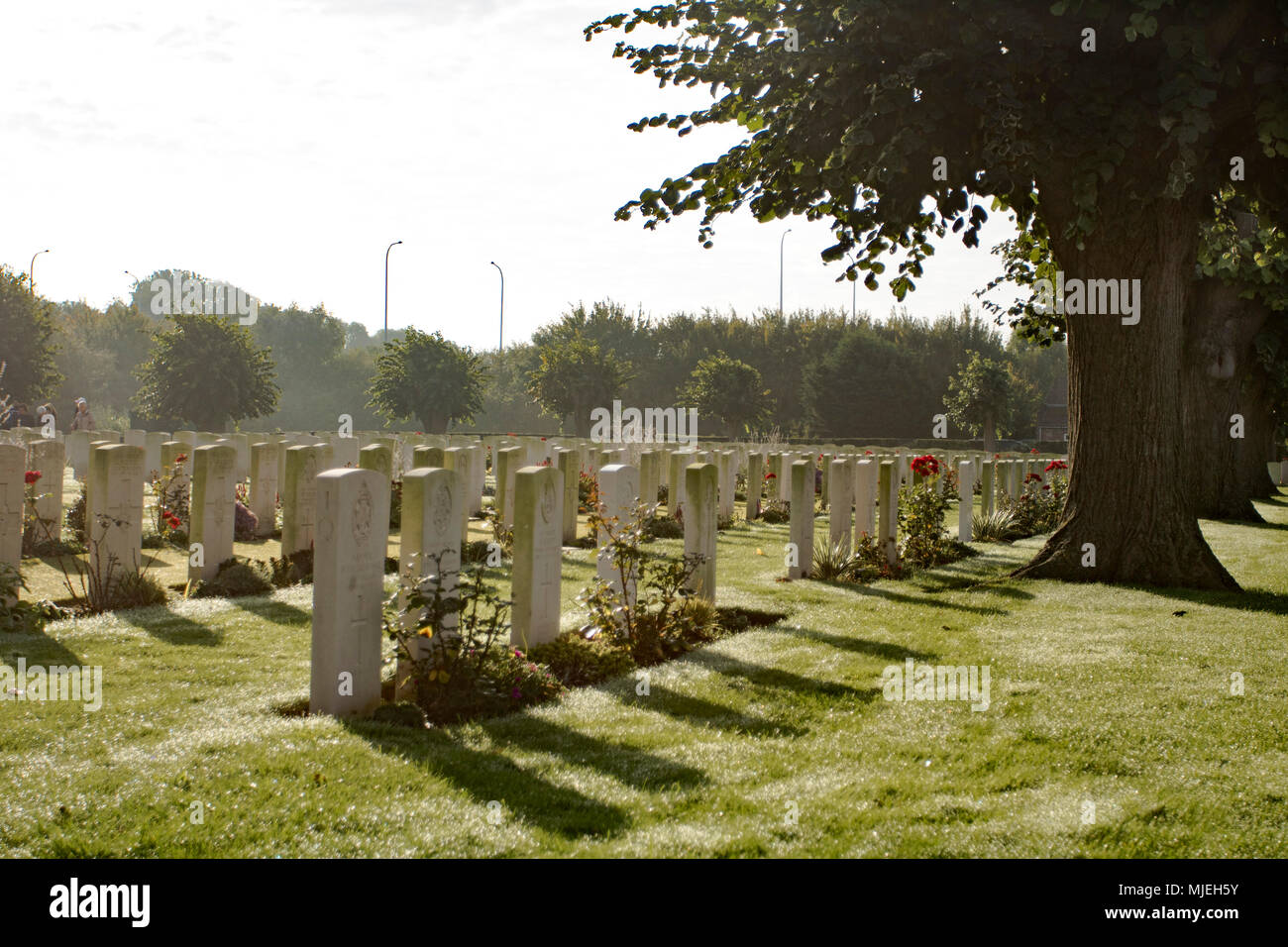 Soldatenfriedhöfe in Belgien. Stockfoto