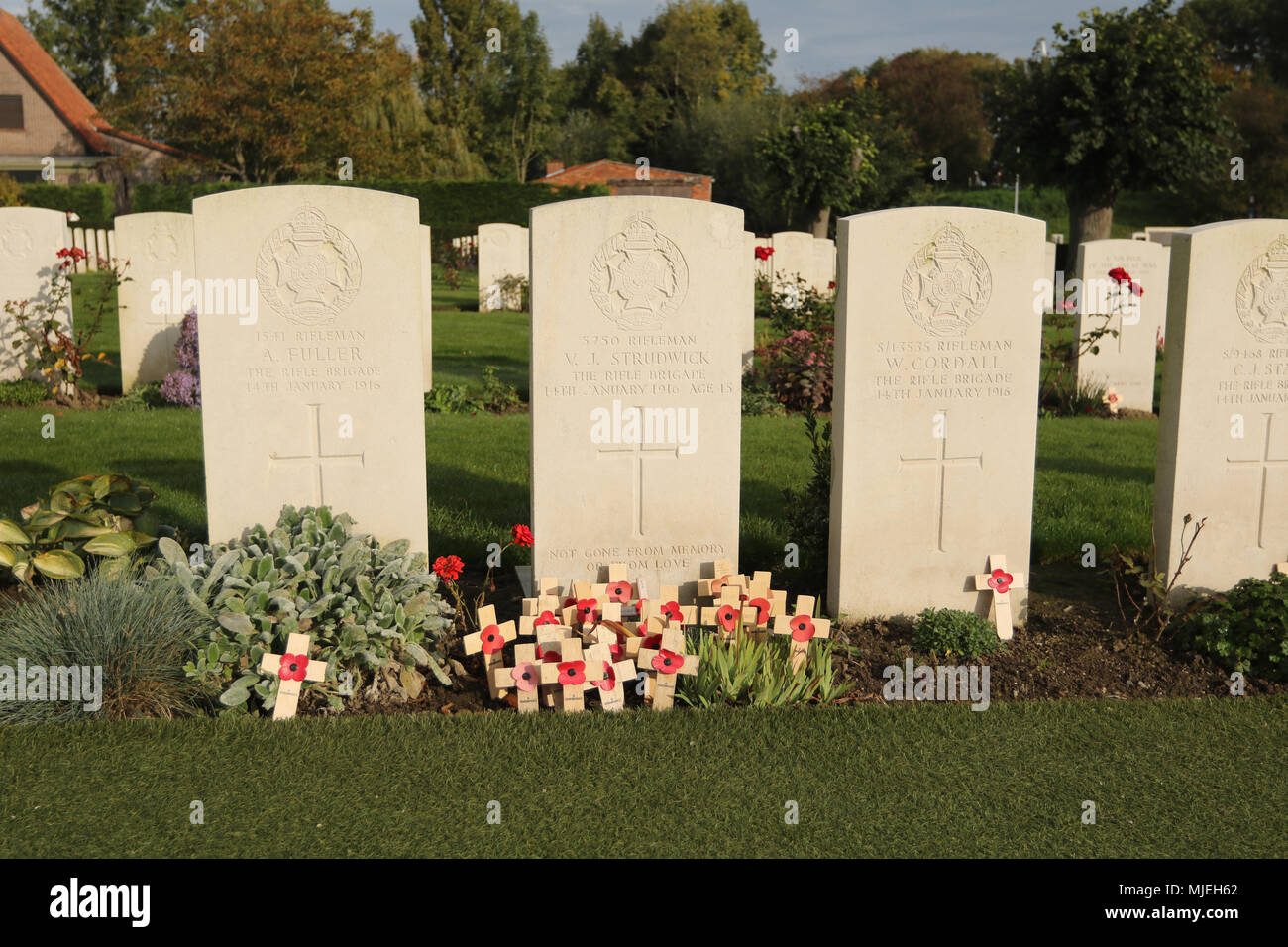 Soldatenfriedhöfe in Belgien. Stockfoto