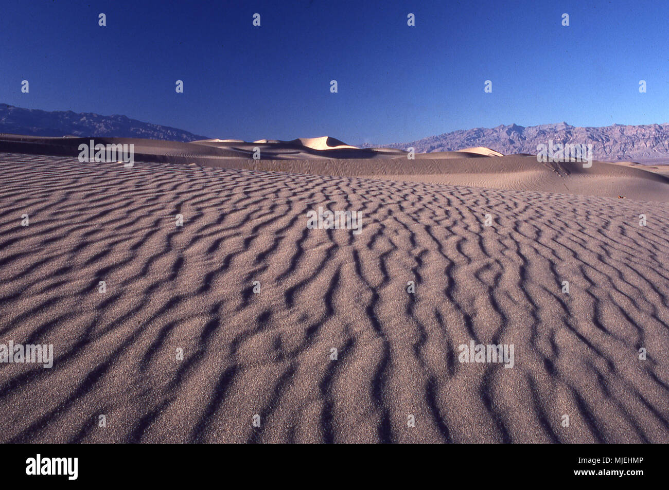 Sanddünen im Death Valley Caifornia Stockfoto
