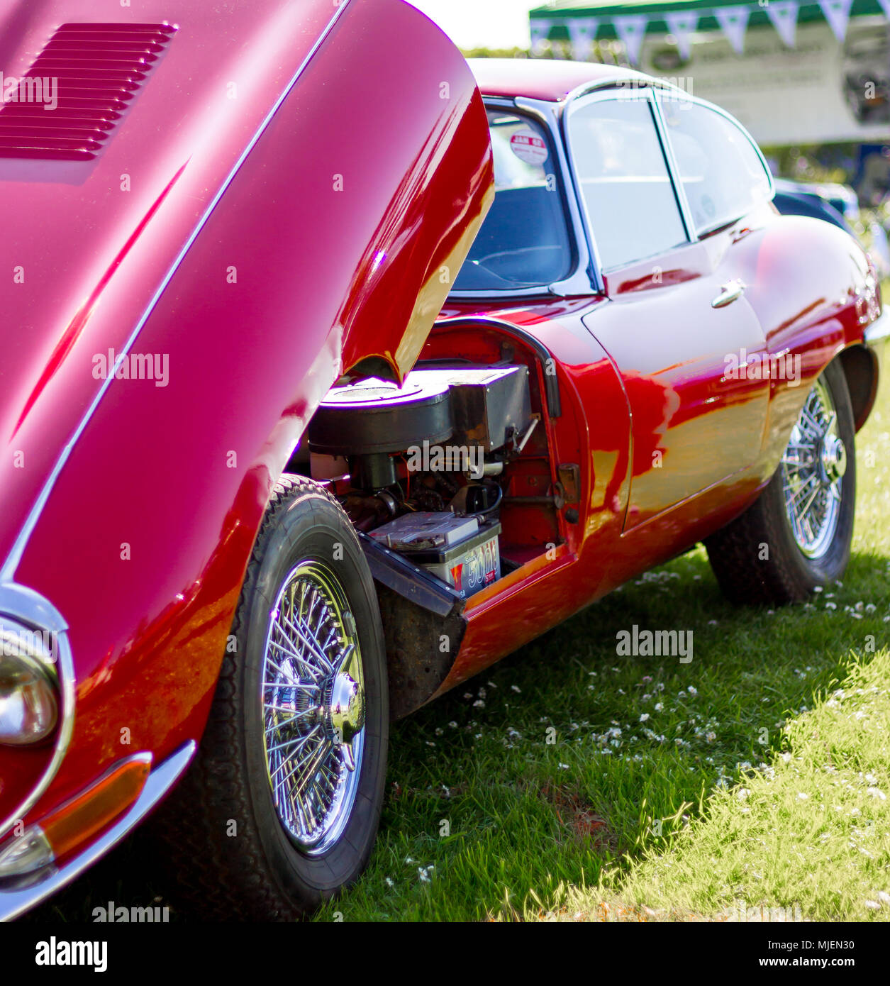 Eastbourne, East Sussex, UK. 5. Mai 2018. Eine erstaunliche Auswahl an über 500 Autos, Busse, Motorräder und andere moderne und klassische Fahrzeuge sind auf der Western Lawns dieser schönen Küstenstadt in brillanter Frühlingssonne vorgeführt. Die herrliche Motoren jährliche Veranstaltung ist eine der größten kostenlosen Motor Veranstaltungen im Süden von England. Stockfoto