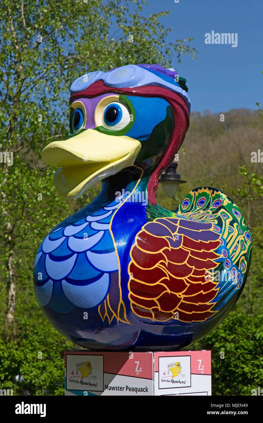 Ironbridge Gorge, Shropshire, Großbritannien. 5 Mai, 2018. Die "awster Peaquack'art Ente aus der 'Let's Go Quackers'Art Installation, Teil der May Bank Holiday feiern in der Ironbridge Gorge in Shropshire, England. Bild: Rob Carter/Alamy leben Nachrichten Stockfoto