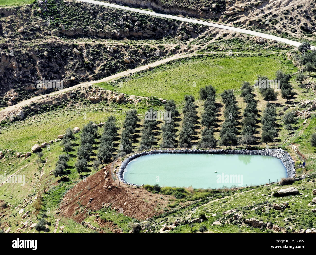 Storage Becken für die Bewässerung von einem Olivenhain in der Wüste in der Nähe von Karak, Jordanien, Naher Osten Stockfoto