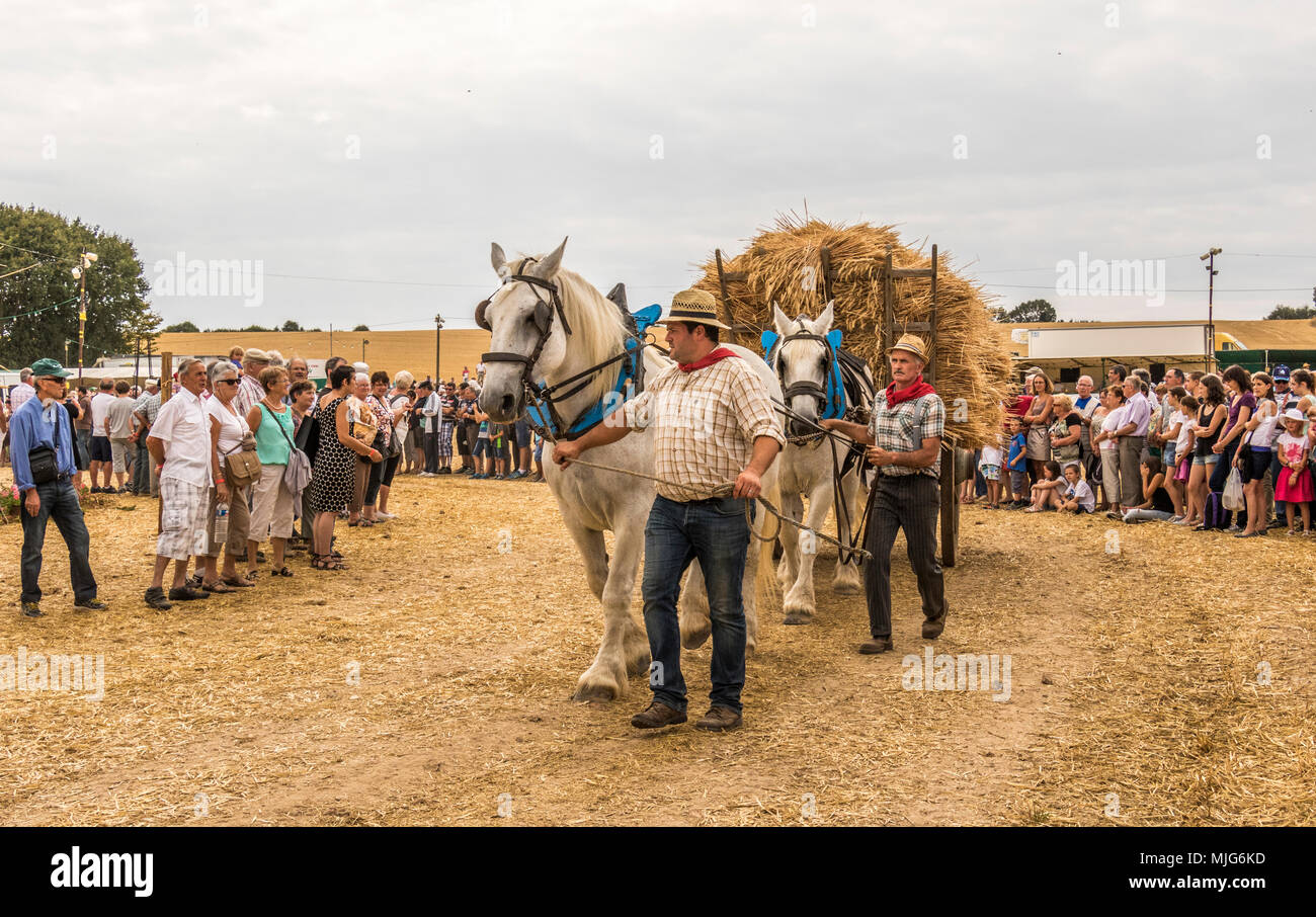 Fete De La Moisson Valennes Sarthe Frankreich landwirtschaftliches Fest, in dem die Bauern aus ihren vergangenen und gegenwärtigen landwirtschaftlichen Weg des Lebens zeigen. Stockfoto