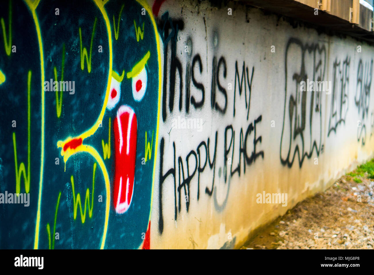 Graffiti unter einem verlassenen Brücke in Tuscaloosa Stockfoto