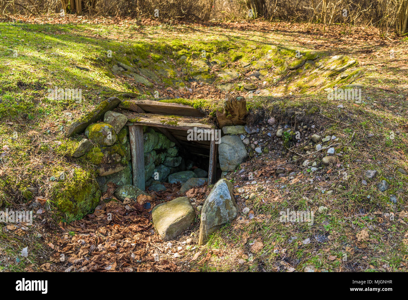 Trollskogen Naturschutzgebiet auf Oland, Schweden. Eine alte Tar Pit-Funktion zur Herstellung von Teer aus Harzreiche Kiefer stumpf Kernholz. Stockfoto