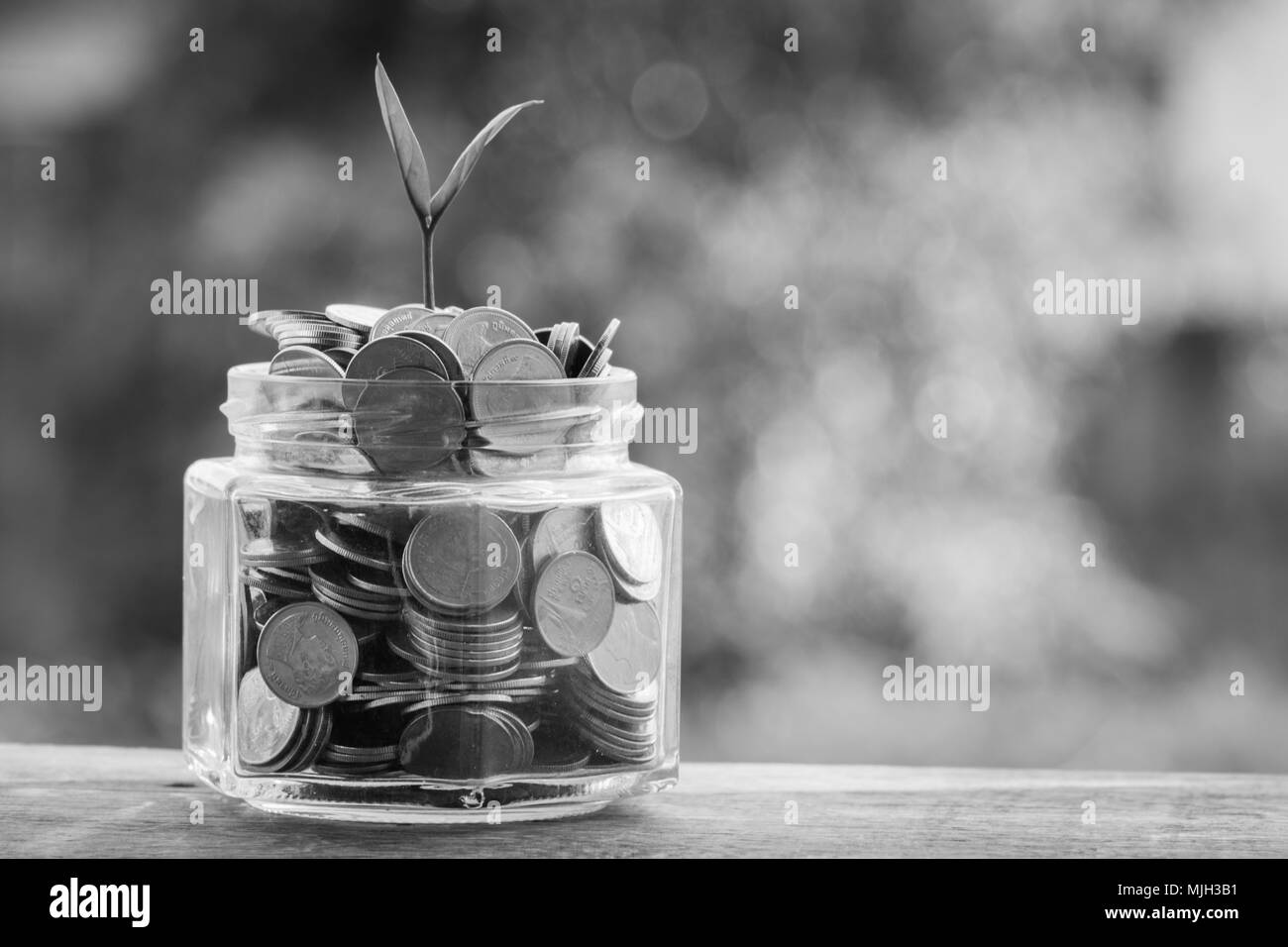Pflanzen wachsen aus Münzen mit filter Effekt Retro Vintage Style Stockfoto