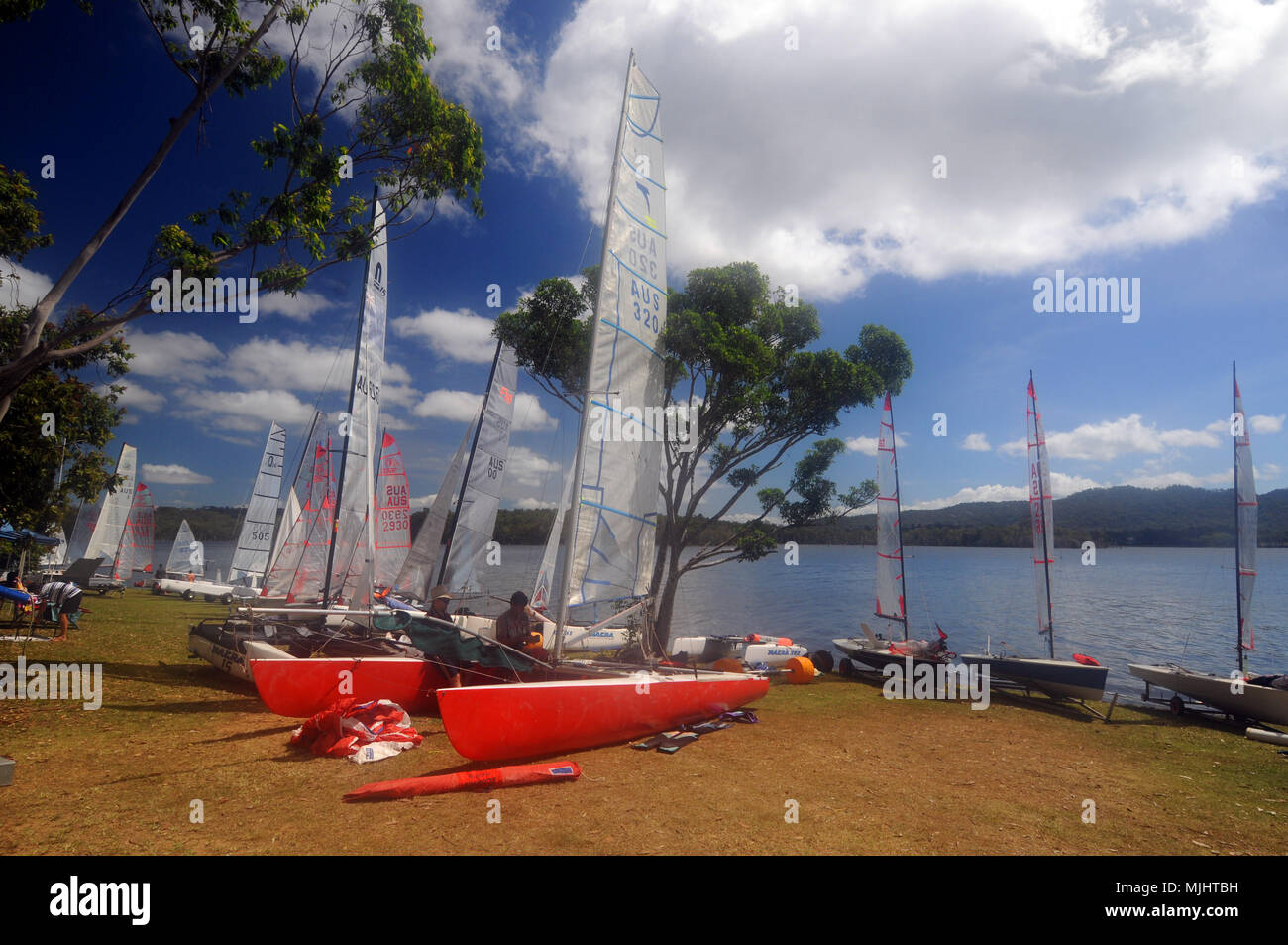 Sailing Club bereitet eine Reihe von Jollen und Katamarane für Tag des Wettbewerbs, Tinaroo Dam, Atherton Tablelands, Queensland, Australien. Keine MR oder PR Stockfoto