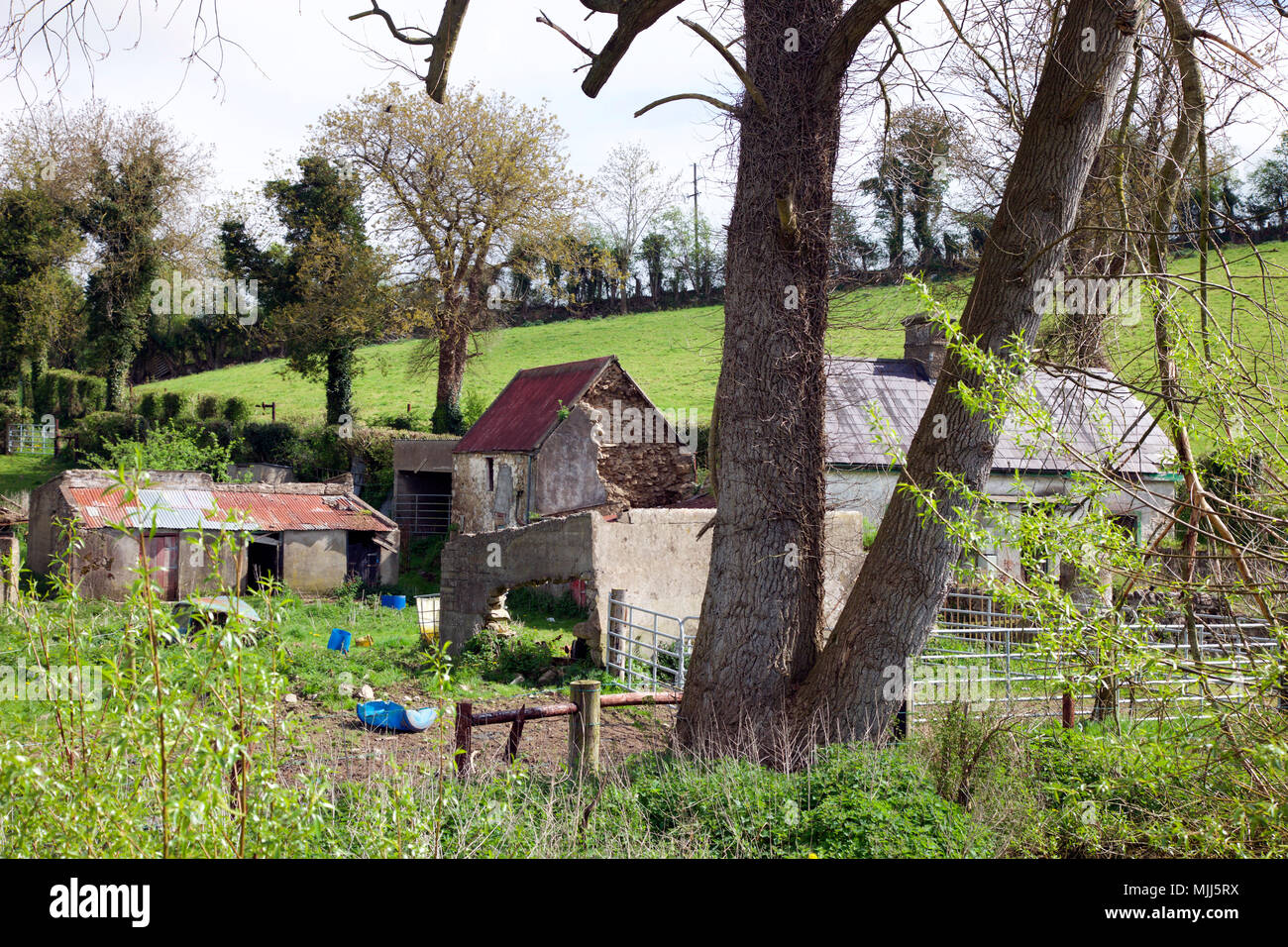 Abgebrochene irischen Homestead außerhalb Carrickmacross, County Monaghan Stockfoto