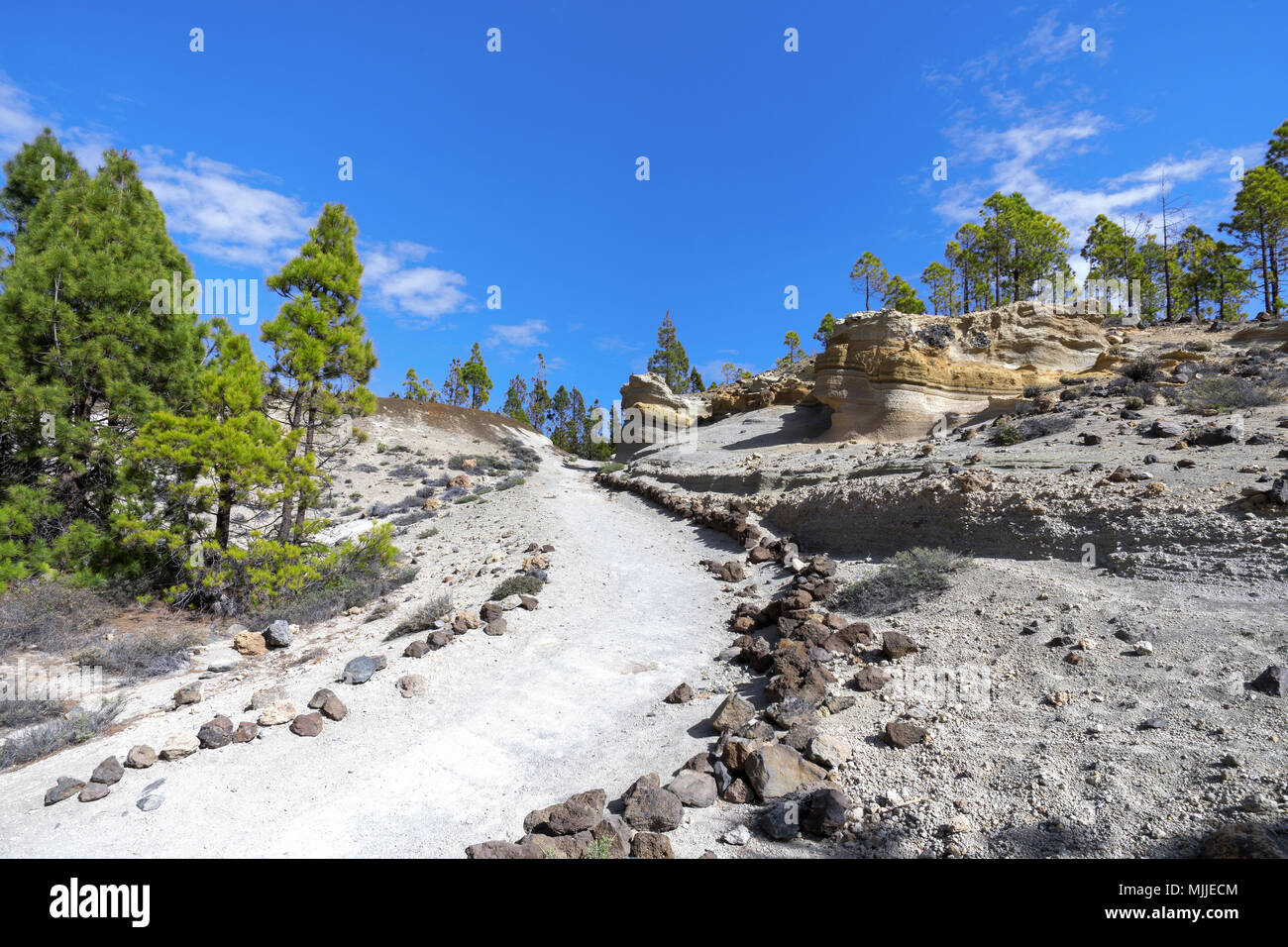 Teneriffa - Wanderweg in der Nähe von Vilaflor Stockfoto