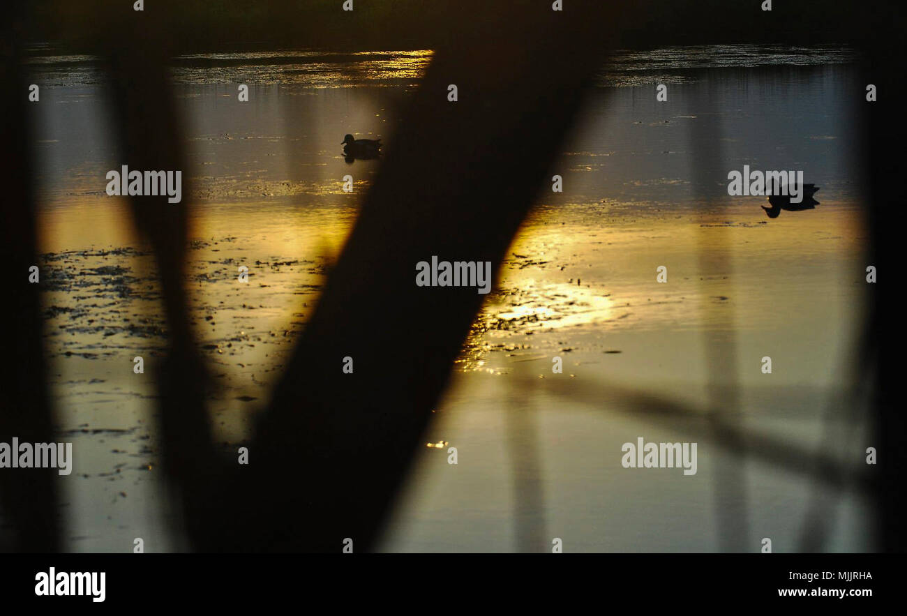 Der Blick von einer Ente blind in der Nähe von Cocodrie, Louisiana, im Sept. 2010. Die Küstenwache ermutigt alle wasservögel Jäger für den schlimmsten Fall, wenn sie auf dem Wasser zu jagen vorangegangen vorzubereiten. (U.S. Coast Guard Foto von Petty Officer 2. Klasse Nate Littlejohn/Freigegeben) Stockfoto