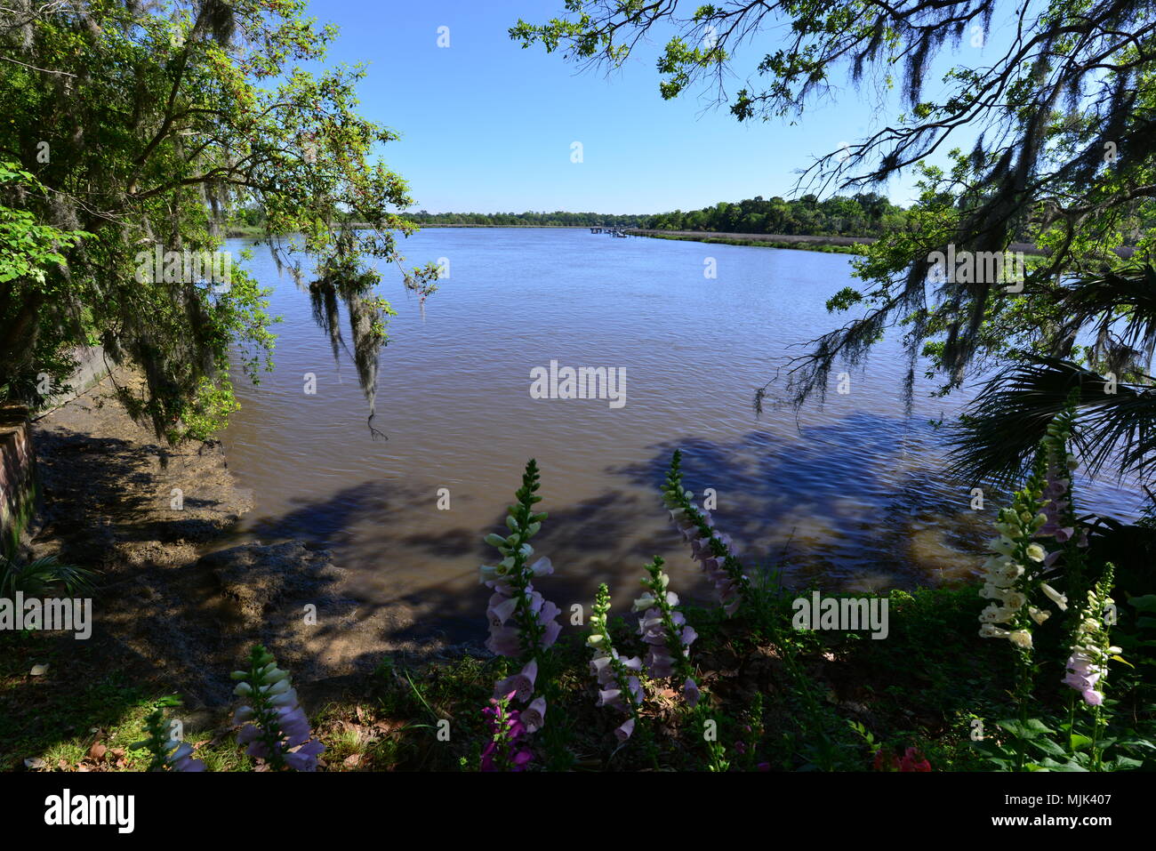 Gärten und einen See an einem alten Plantage in South Carolina Stockfoto