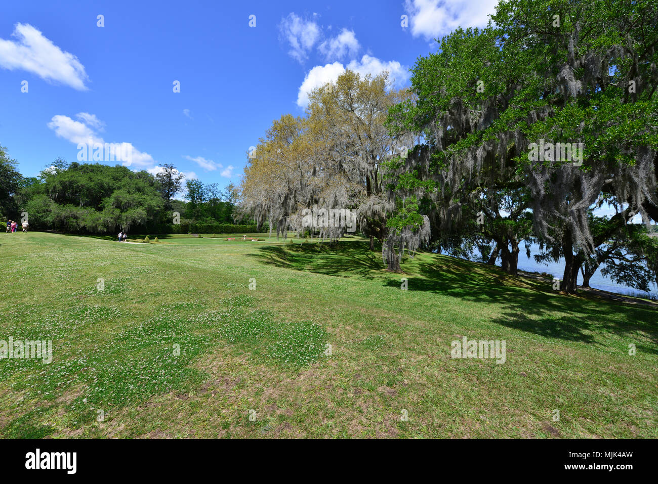 Gärten und einen See an einem alten Plantage in South Carolina Stockfoto