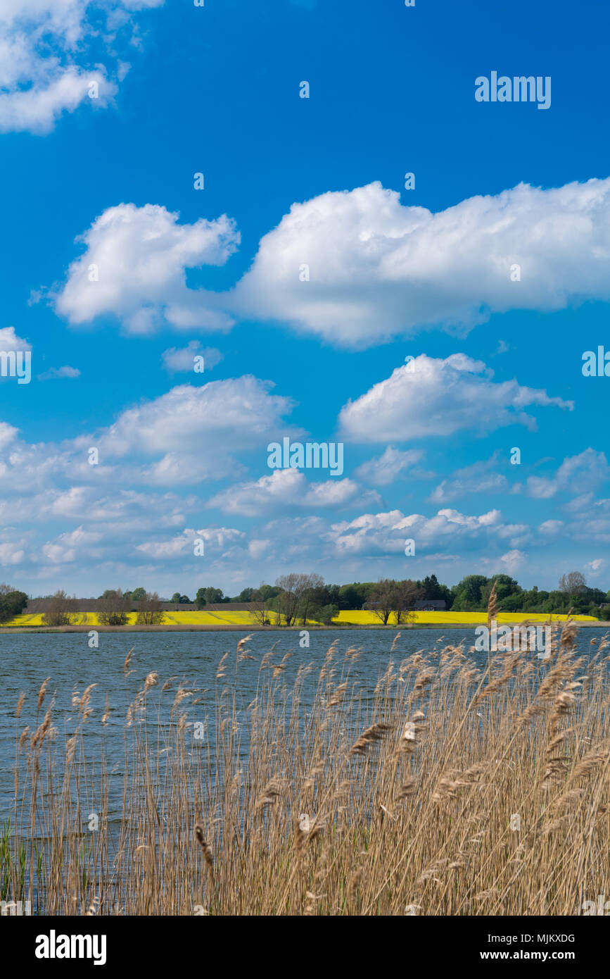 Das romantische Dorf Sieseby, Gemeinschaft von Thumby, auf der Schlei, Schleswig-Holstein, Deutschland, Europa Stockfoto